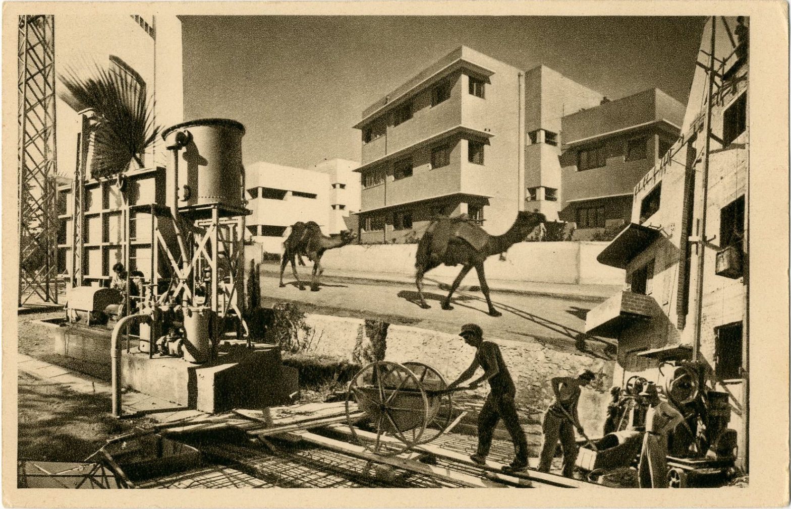 Postcard [2014-0-9-251]: Yaakov Benor-Kalter, Tel-Aviv expands, Haifa, Palestine, circa 1930-1940