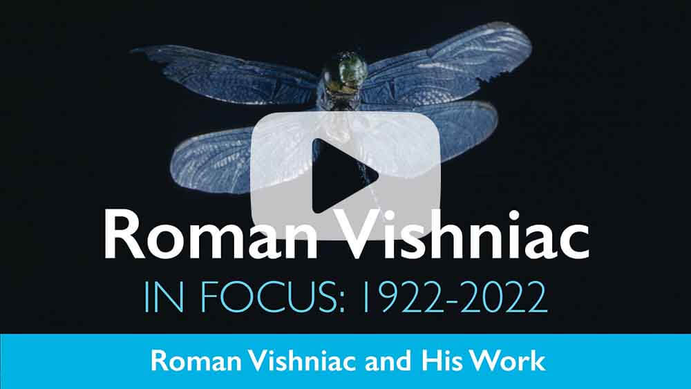 Roman Vishniac. In Focus: 1922-2022 Panel 2 Video "Roman Vishniac and His Work"